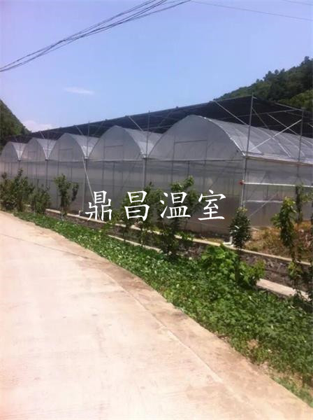 恩施花果山魔芋基地