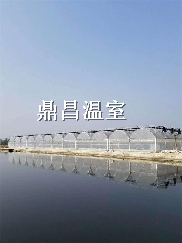 枝江水产养殖基地