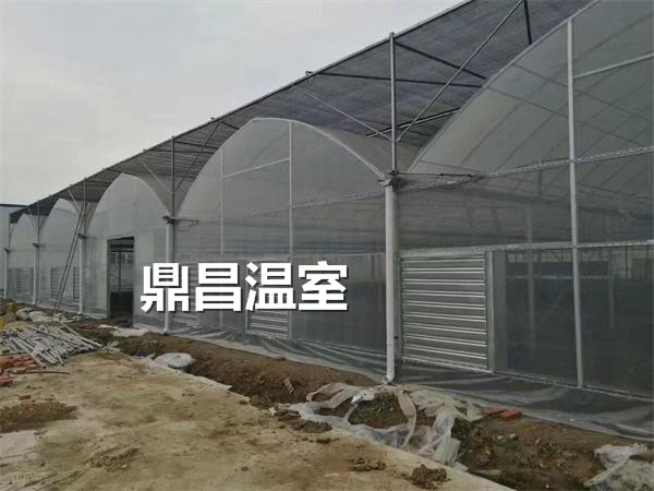 龙泉雷家畈药材育苗基地