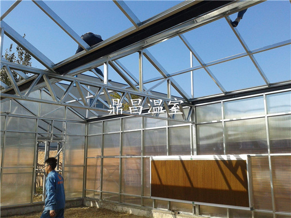 阳光板温室大棚建设