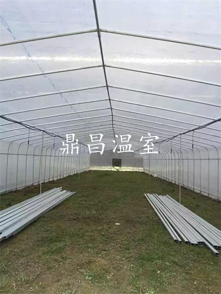 单体塑料管棚